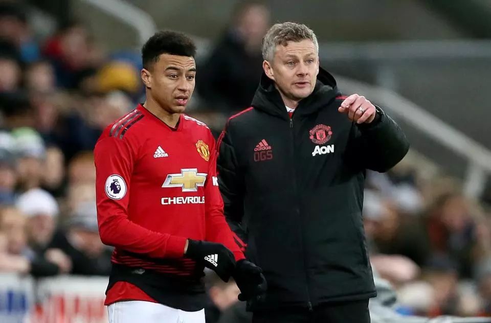 神的培养 神的培养