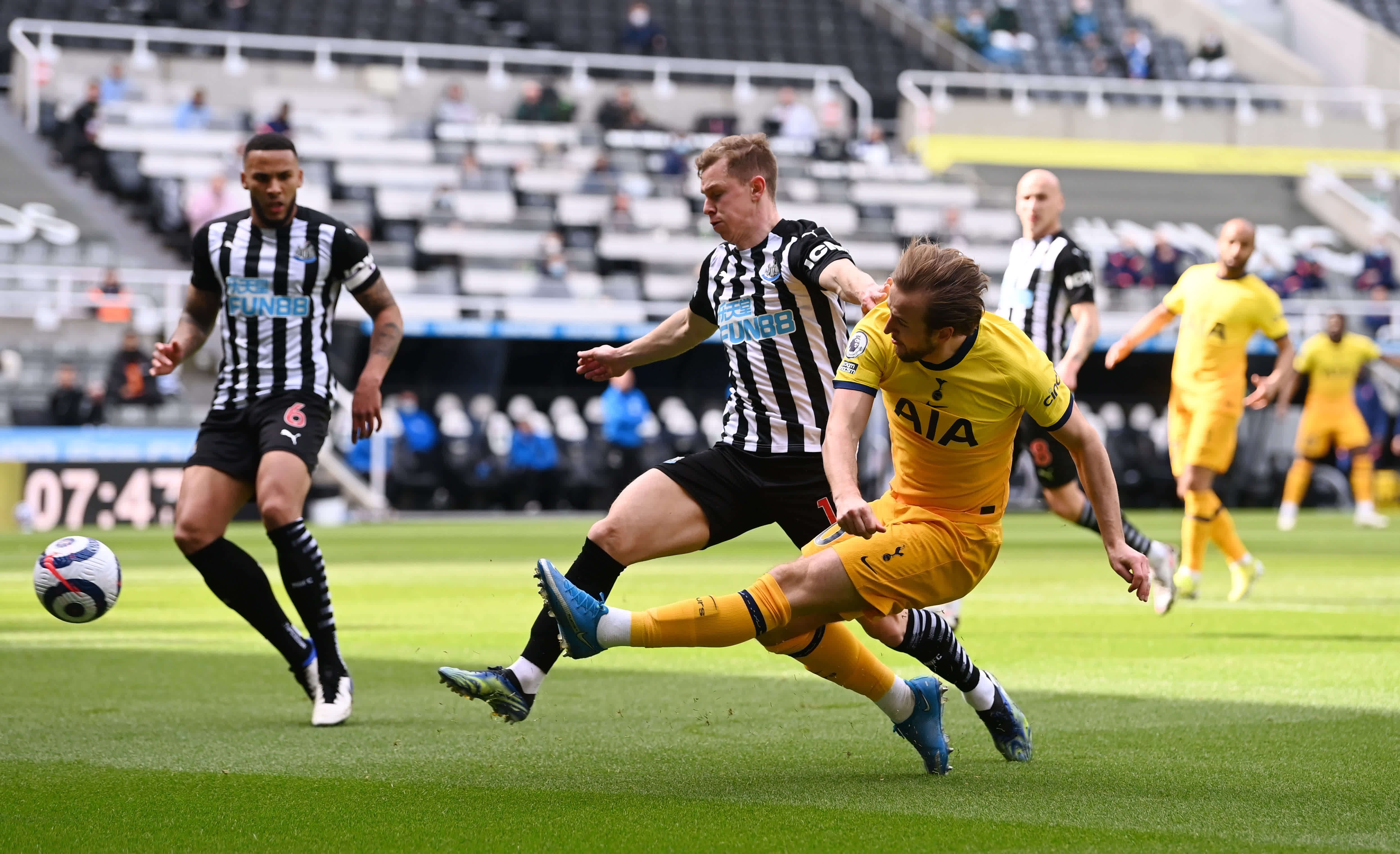 什科维奇的 什科维奇的